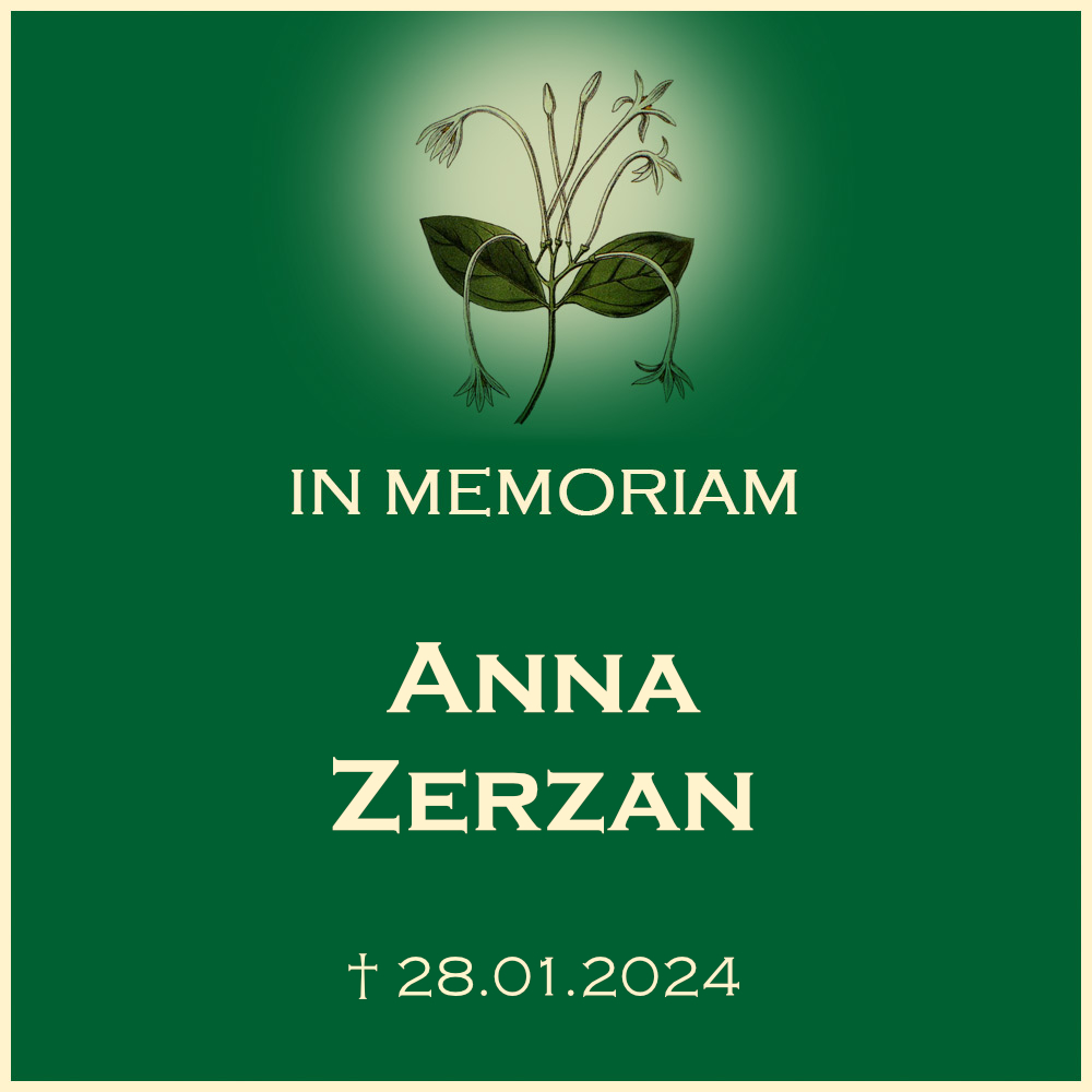 Anna Zerzan Urnenbeisetzung in Wernau