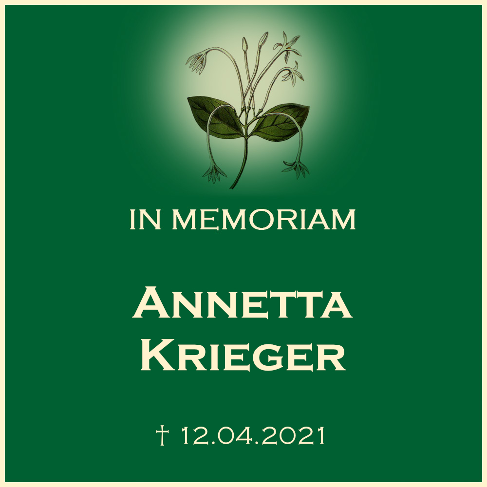 Annetta Krieger Erdbestattung in Friedhof Heilbronn Sontheim in der Staufenbergstrasse