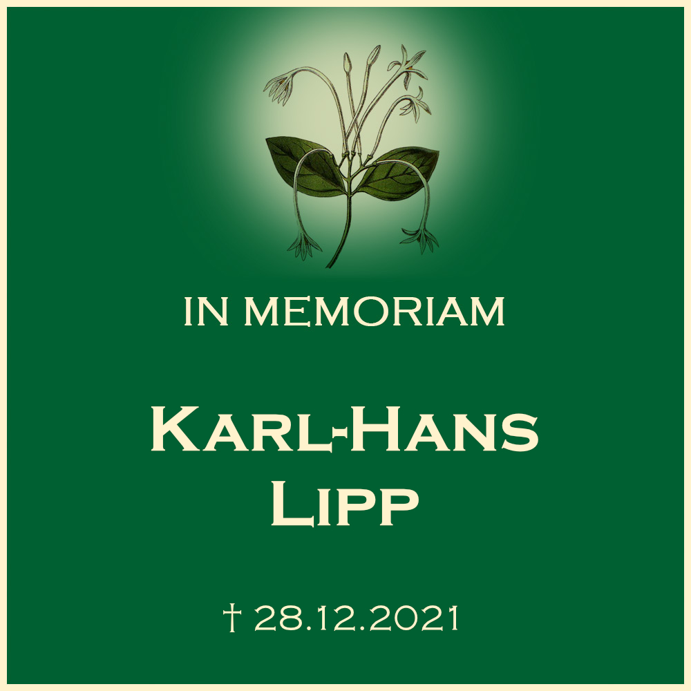 Karl Hans Lipp