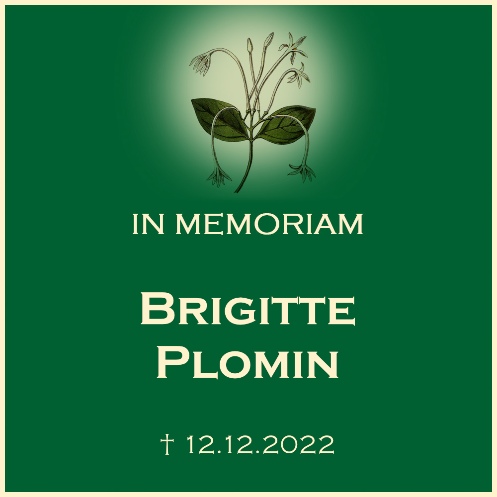 Brigitte Plomin Urnenbeisetzung auf dem Ortsfriedhof71720 Oberstenfeld Forststrasse