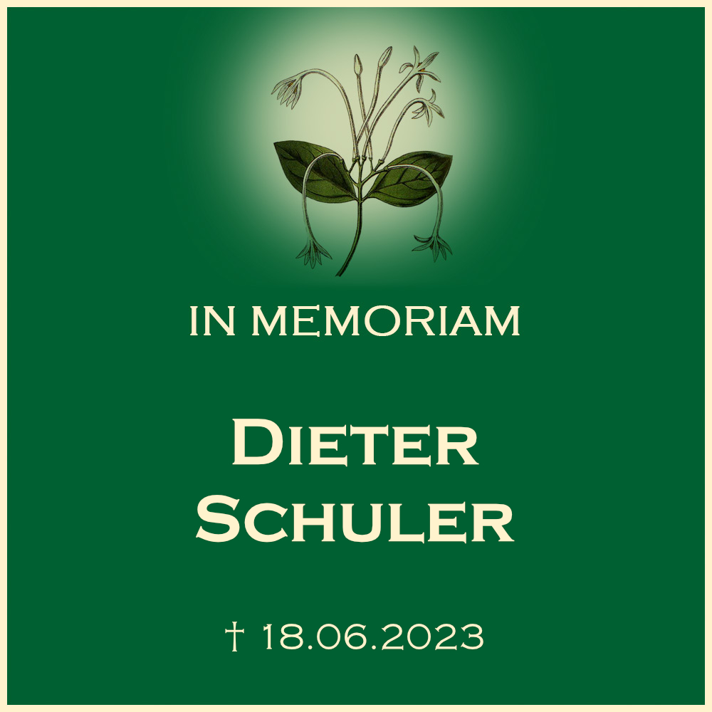 Dieter Schuler Urnenbeisetzung auf Südfriedhof Sontheim in 74081 Heilbronn Staufenbergstrasse 106