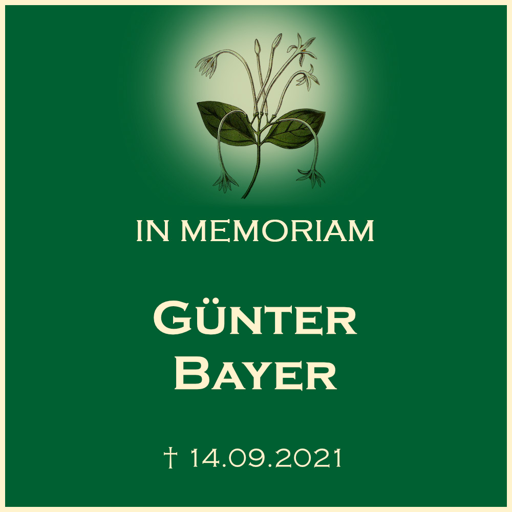 Günter Bayer