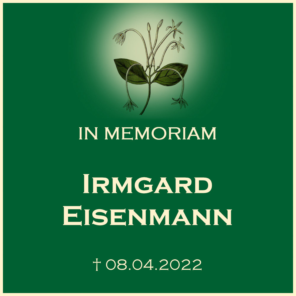 Irmgard Eisenmann Erdbestattung in Oberstenfeld Gronau Friedhof Buchenstrasse