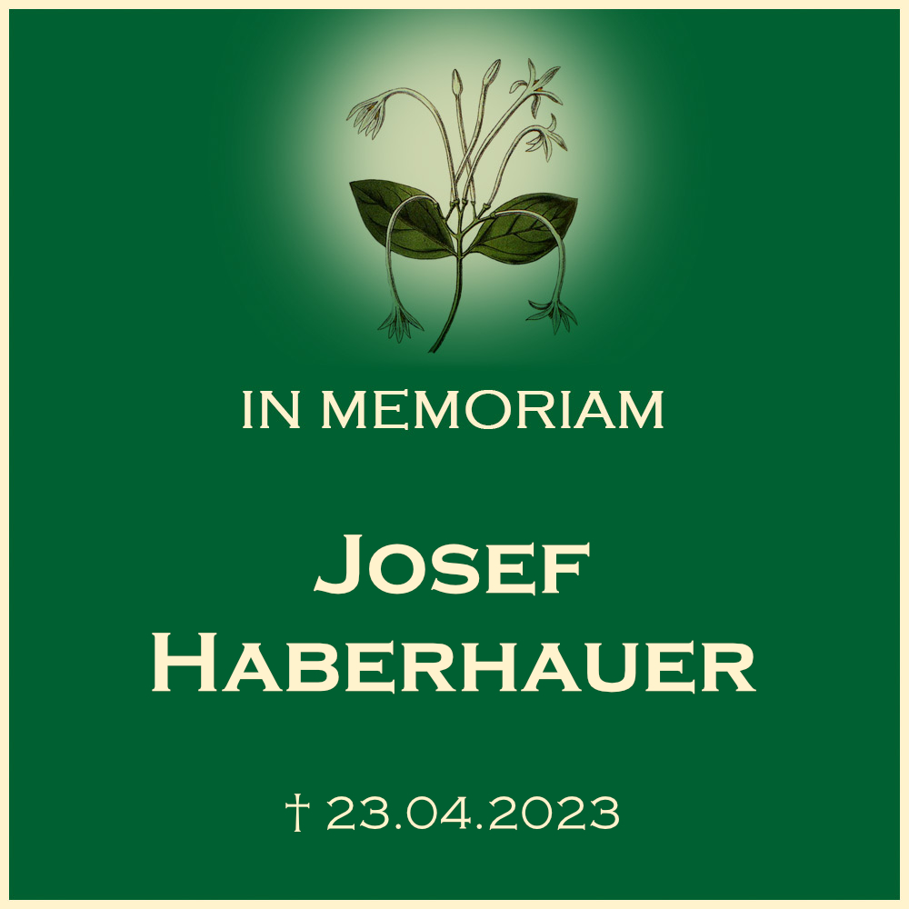Josef Haberhauer katholische Trauerfeier mit Urnenbeisetzung auf dem Friedhof 71723 Grossbottwar Foriedhofstrasse