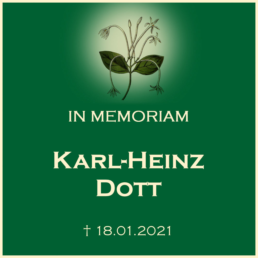 Karl Heinz Dott