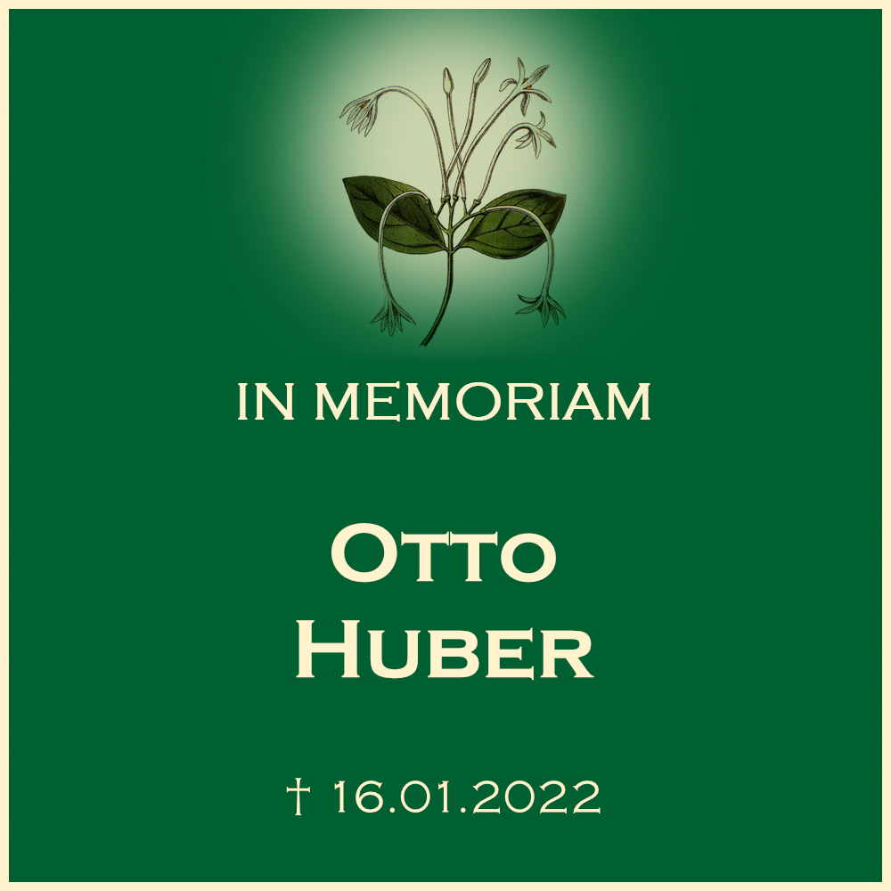 Otto Huber Trauerfeier in Friedhof am Wald in 74172 Neckarsulm Kalbenstrasse