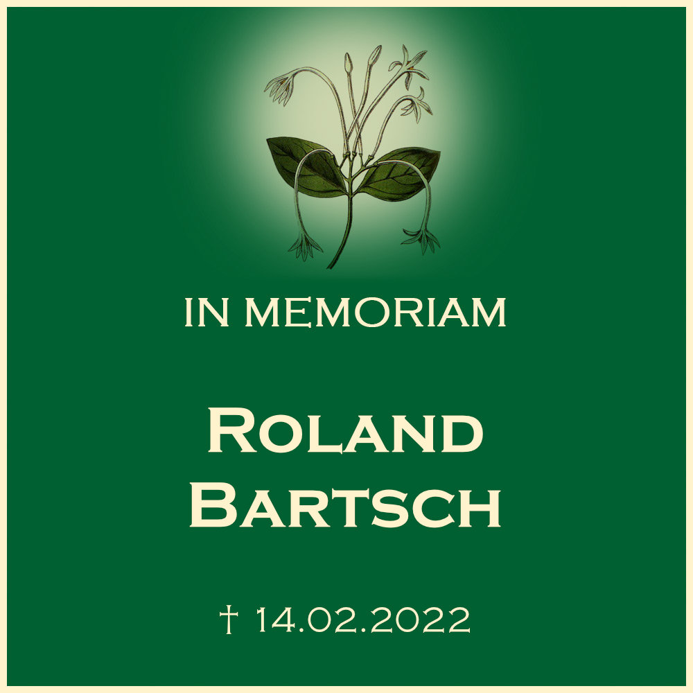 Roland Bartsch Urnenbeisetzung in einem Baumgrab Neuer Friedhof Ilsfeld in 74360 Ilsfeld Nelkenstrasse 5