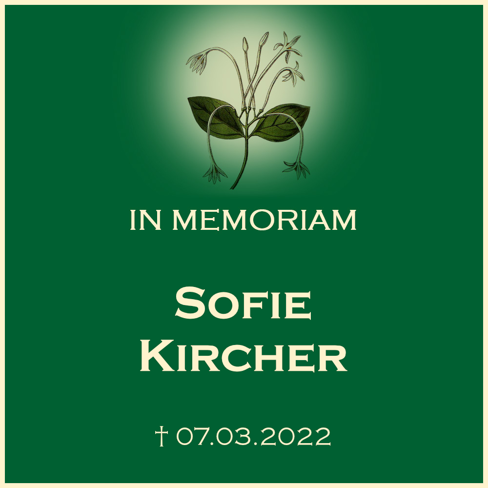Sofie Kircher Beerdigung Friedhof Spiegelberg Nassach Sandwaldstraße 71579 Spiegelberg