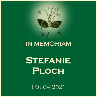 Stefanie Ploch