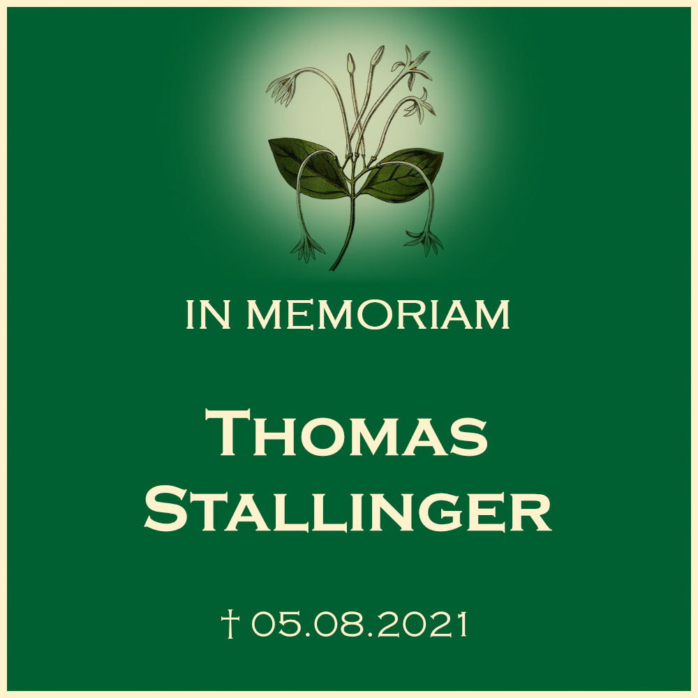 Thomas Stallinger