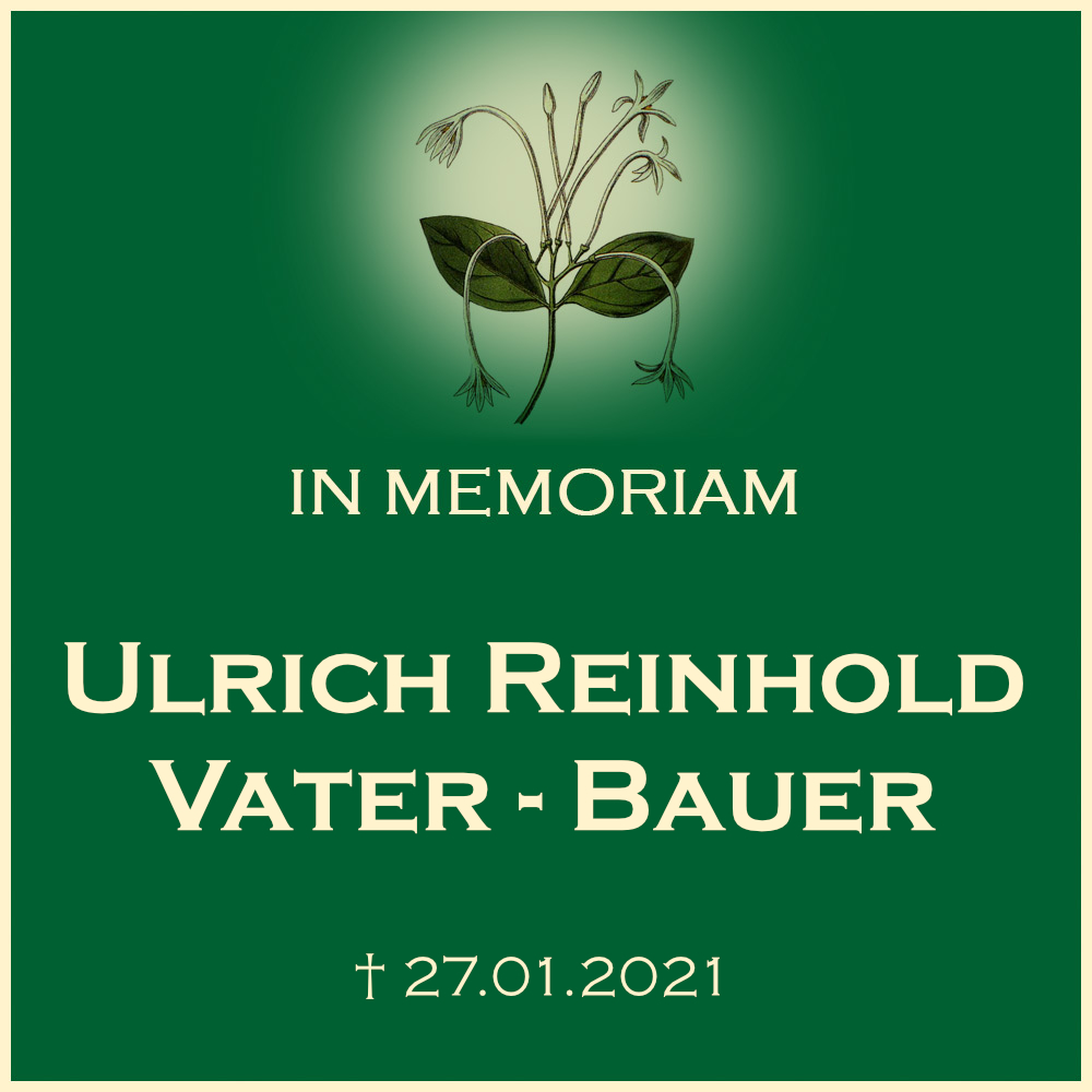 Ulrich Vater Bauer