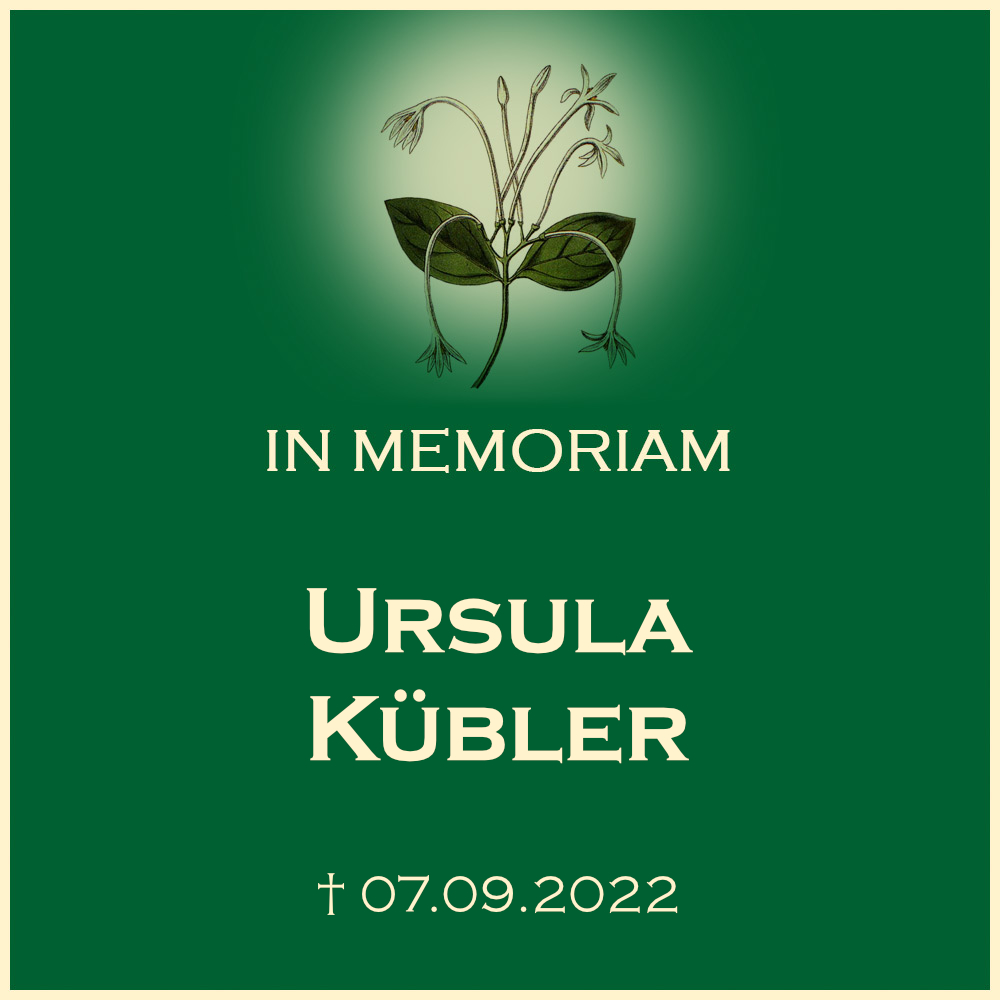 Ursula Kuebler Erdbestattung Friedhof Beilstein Schmidhausen in 71717 Beilstein Schmidhausen Burgunderstrasse 