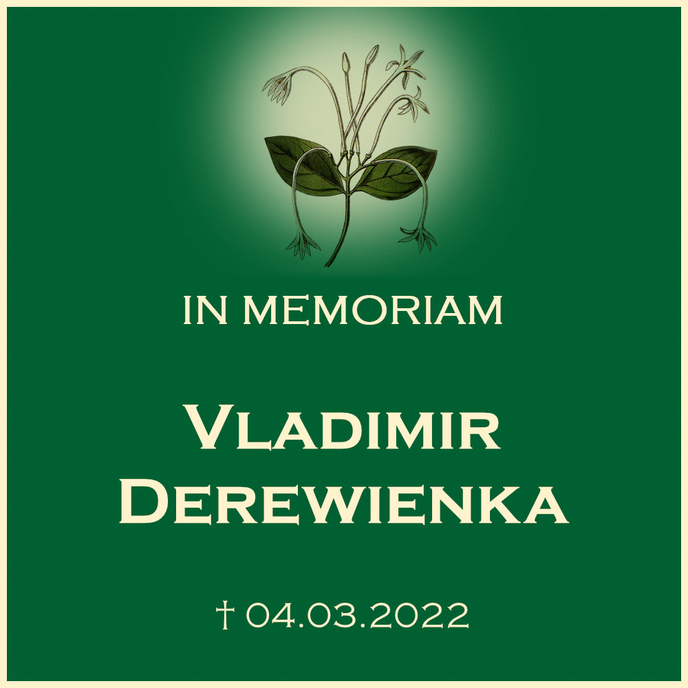 Vladimir Derewienka Trauerfeier mit Urnenbeisetzung in der Urnenwand Ortsfriedhof Oberstenfeld 71720 Oberstenfeld Forststrasse 37