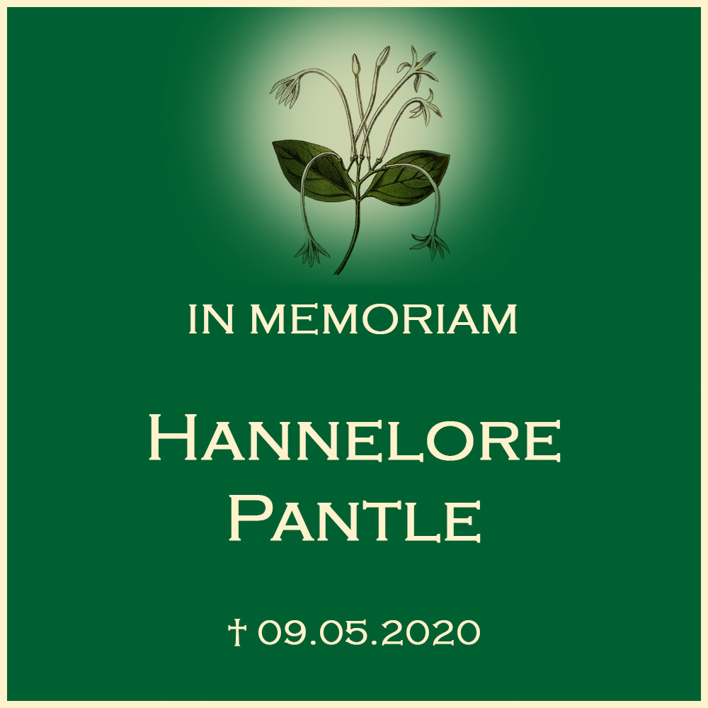 Hannelore Pantle