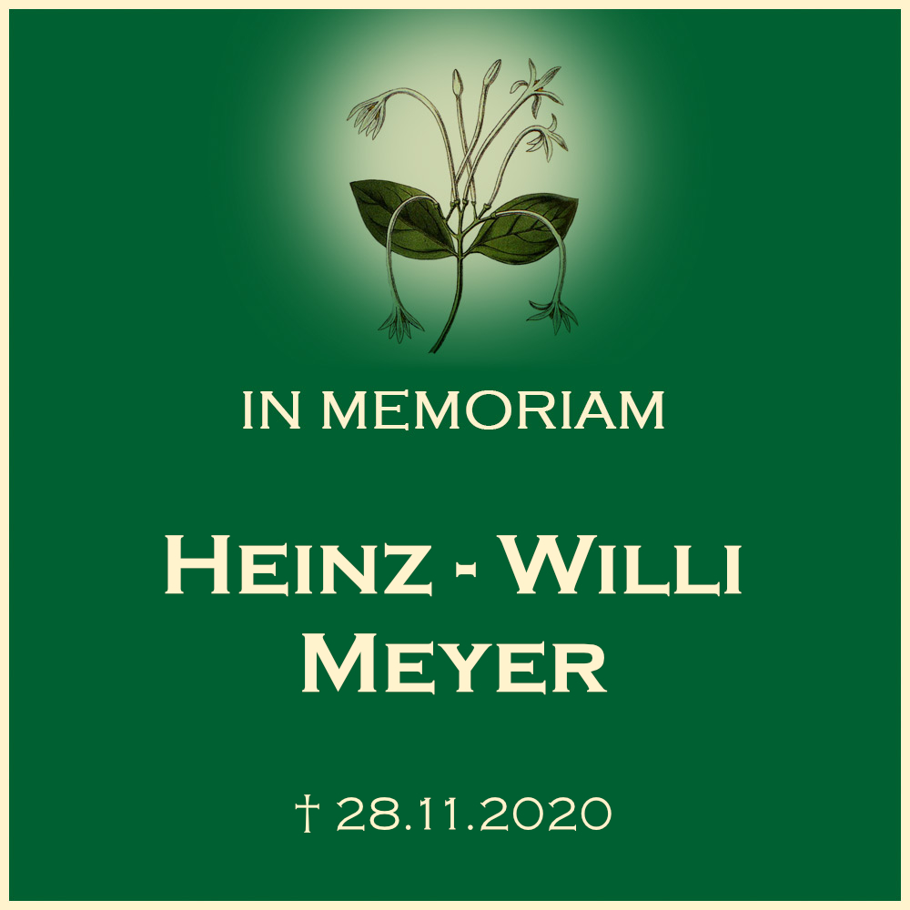 Heinz Willy Meyer