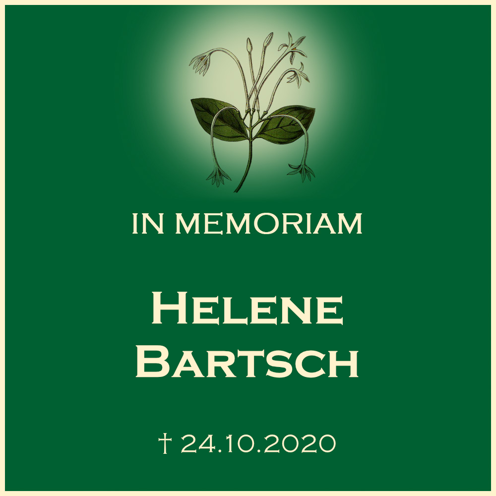 Helene Bartsch