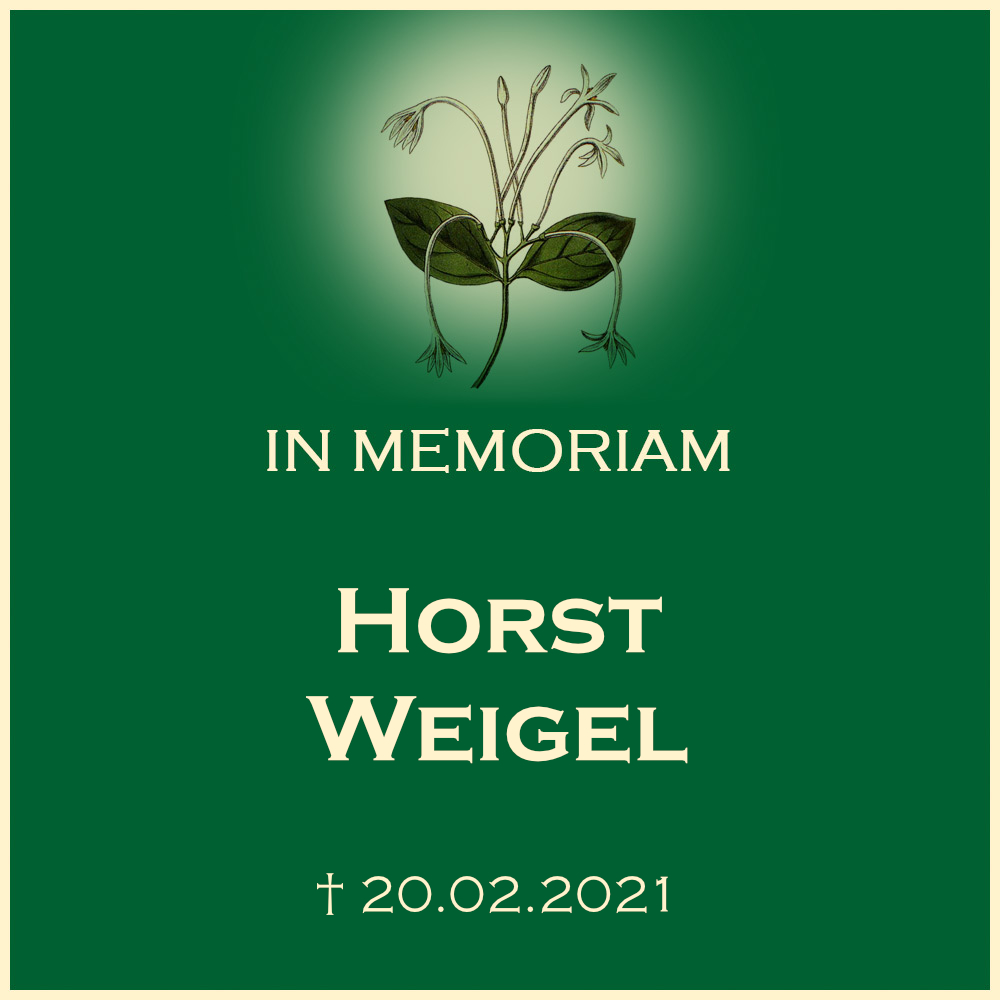 Horst Weigel Urnenbeisetzung Friedhof Flein in der Friedhofstrasse 13