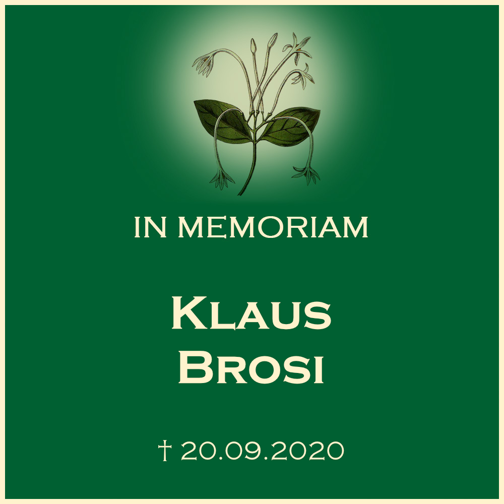 Klaus Brosi