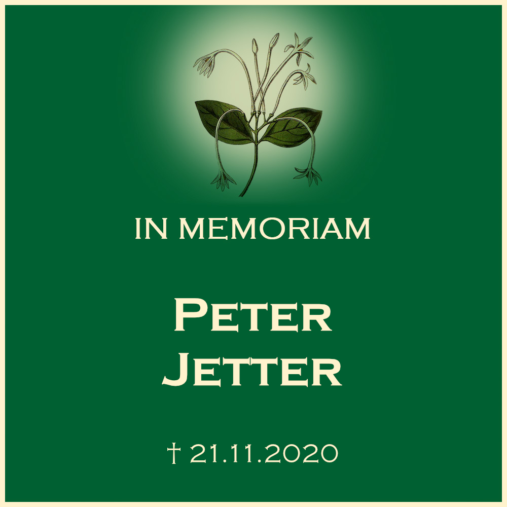 Peter Jetter