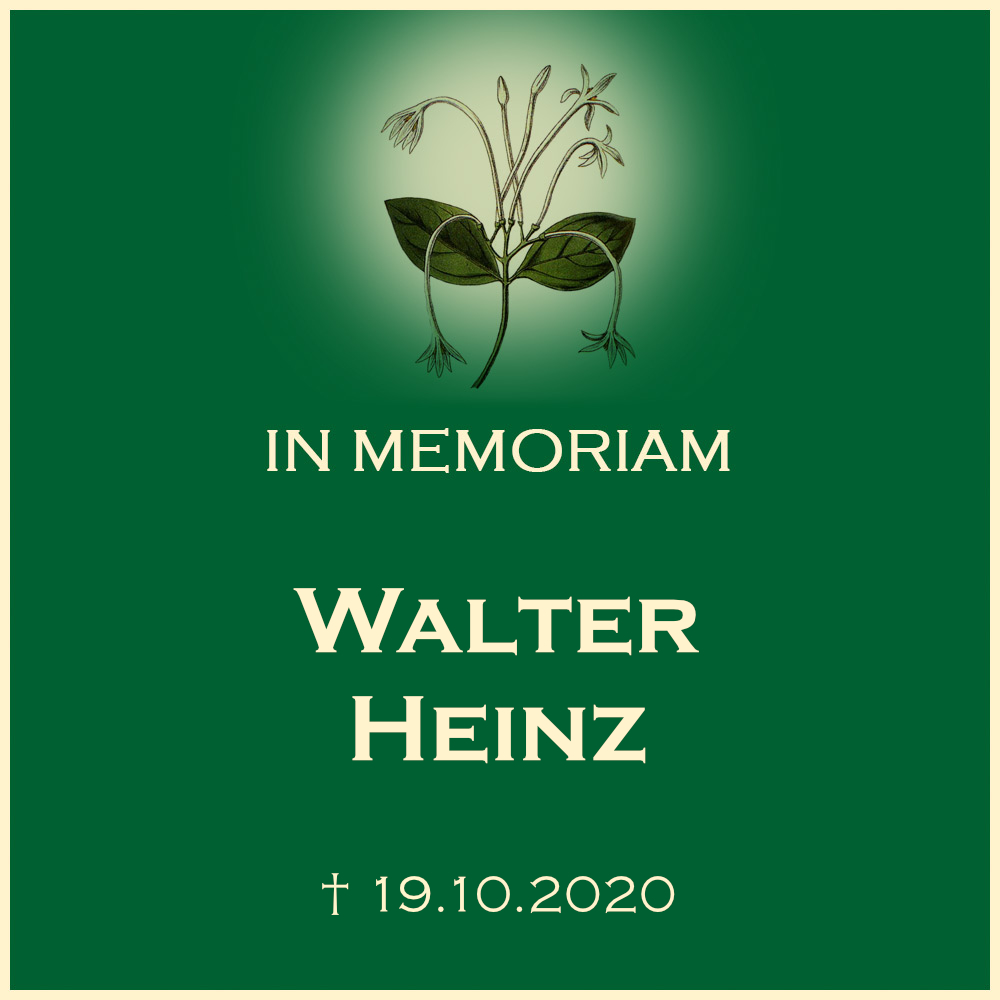 Walter Heinz