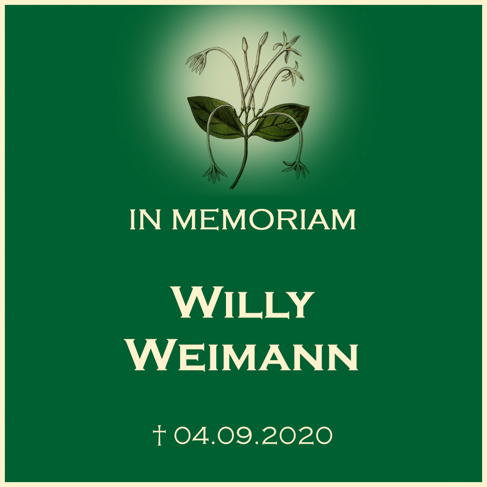 Willy Weimann